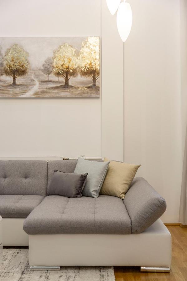 Luxurious & Spacious Downtown Residence In Liszt Ferenc Square Budapeste Exterior foto