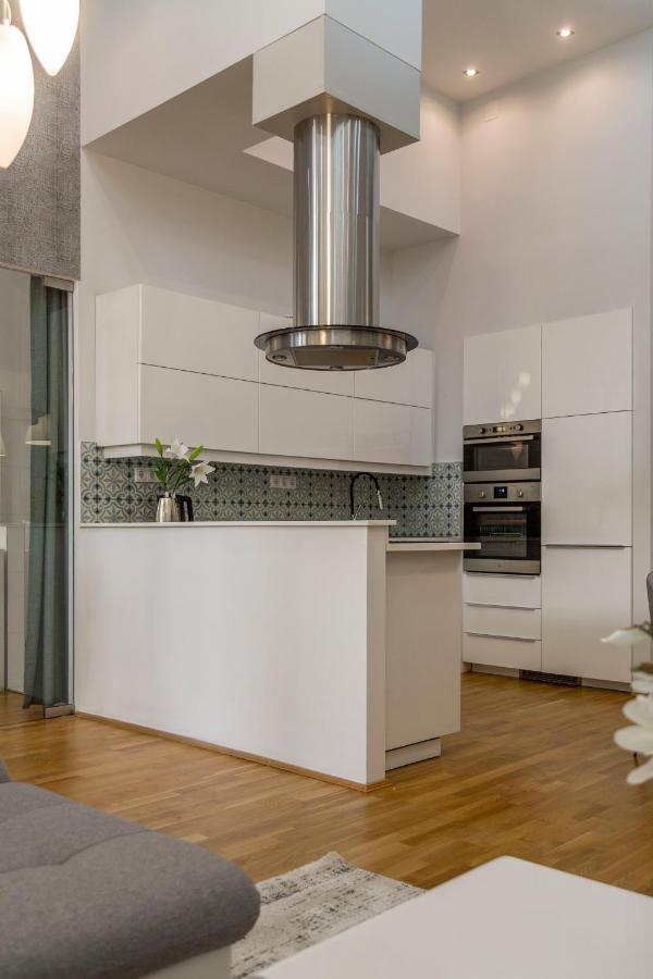 Luxurious & Spacious Downtown Residence In Liszt Ferenc Square Budapeste Exterior foto